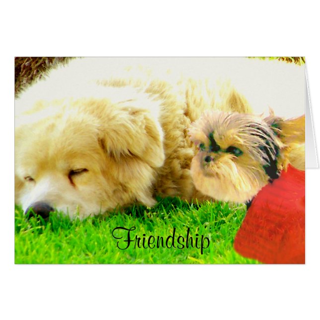 Love and Care,Dogs_ (Front Horizontal)