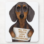 Love and Dachshund