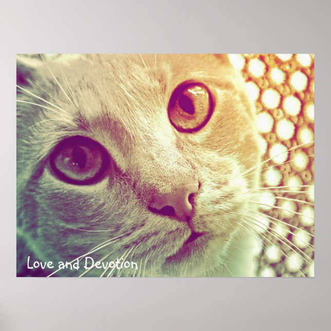 Love and Devotion Poster (Front)