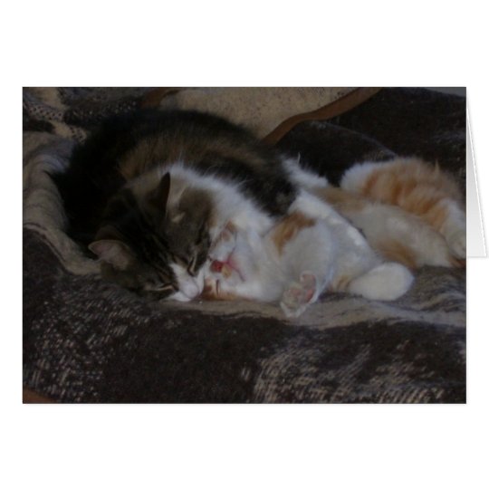 Love and kitten kisses card