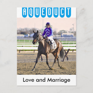 Love and Marriage Postcard