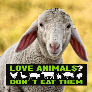 Love Animals? Don´t eat them, Vegan Activism Bumper Sticker