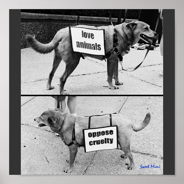 Love Animals Poster (Front)