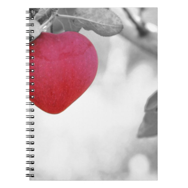 Love Apple Notebook (Front)