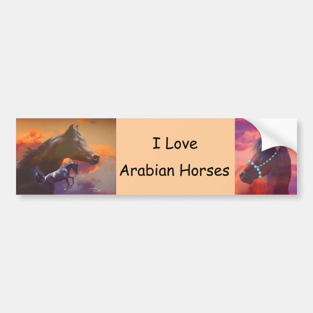 Love Arabians Bumper Sticker (Front)