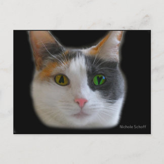 Love at First Sight Postcard