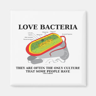 Love Bacteria Only Culture Some People Have Magnet