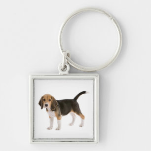 Love Beagle Puppy Dog Customised  Key Chain
