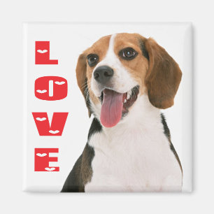 Love Beagle Puppy Dog Fridge Magnet
