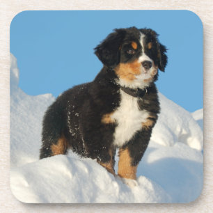 Love Bernese Mountain Dog Puppy Coaster Set