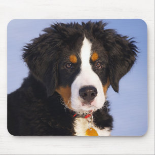 Love Bernese Mountain Dog Puppy Mouse Pad