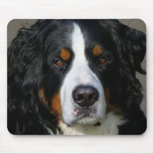 Love Bernese Mountain Dog Puppy Mouse Pad