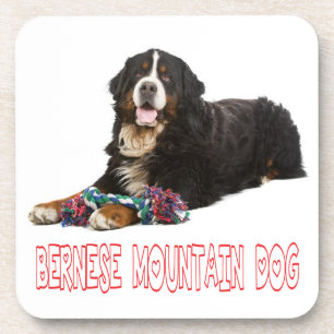 Love Bernese Mountain Puppy Dog Coaster Set