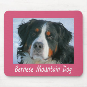 Love Bernese Mountain Puppy Dog Pink Mouse Pad