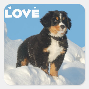 Love Bernese Mountain Puppy Dog Sticker / Seal
