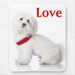 Love Bichon Frise Puppy Dog Mousepad