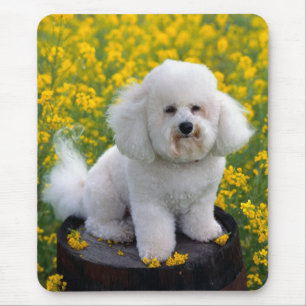 Love Bichon Frise Puppy Dog Mousepad