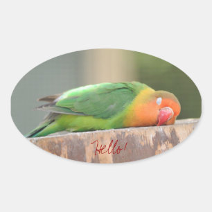 Love bird sleeping oval sticker