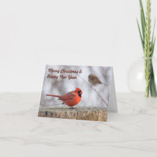Love Birds Christmas Cards