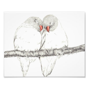 Love Birds Photo Print