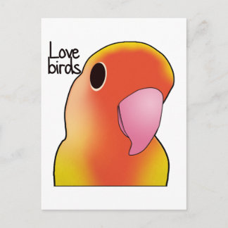 Love Birds Postcard