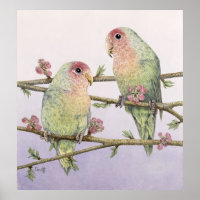 Love Birds