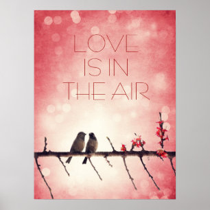 Love birds story poster
