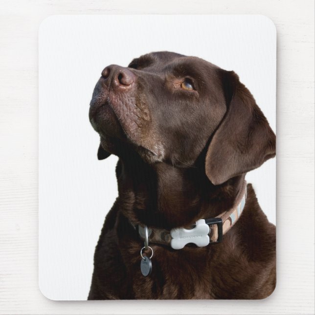 Love Black & Brown  Labrador Retriever  Mouse Pad (Front)
