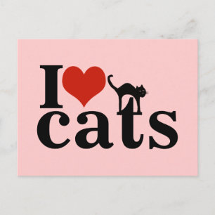 love black cat postcard