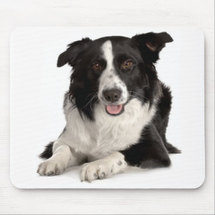 Love Border Collie Puppy Dog Mousepad