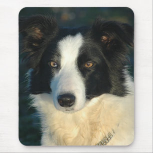 Love Border Collie Puppy Dog Mousepad