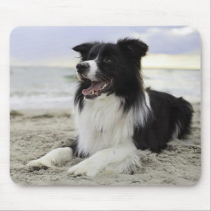 Love Border Collie Puppy Dog Mousepad