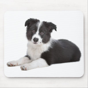 Love Border Collie Puppy Dog Mousepad