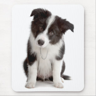 Love Border Collie Puppy Dog Mousepad