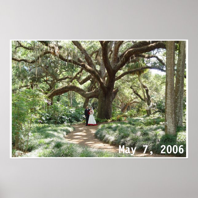 Love born under the spreading oak poster (Front)