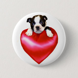Love Boston Terrier button