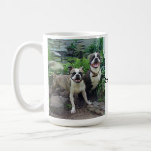 Love Boston Terriers, Mug
