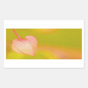 love bows out rectangular sticker