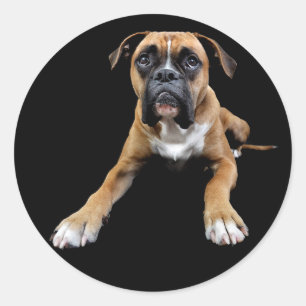 Love Boxer Puppy Dog Black Greeting Sticker