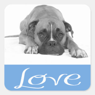 Love Boxer Puppy Dog Black & White Sticker / Seal