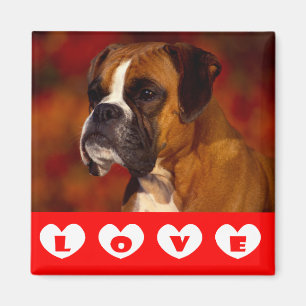 Love Boxer Puppy Dog Fridge Magnet