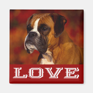 Love Boxer Puppy Dog Fridge Magnet
