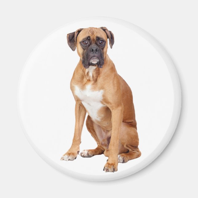 Love Boxer Puppy Dog Fridge Magnet (Front)