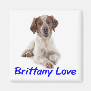 Love Brittany Spaniel Puppy Dog Magnet