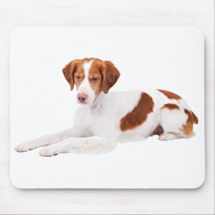 Love Brittany Spaniel Puppy Dog Mousepad