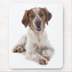 Love Brittany Spaniel Puppy Dog Mousepad