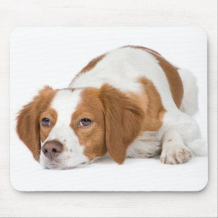 Love Brittany Spaniel Puppy Dog Mousepad