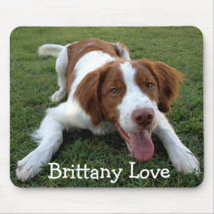 Love Brittany Spaniel Puppy Dog Mousepad