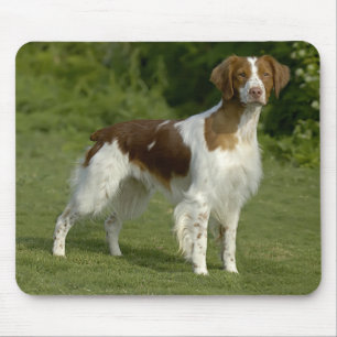 Love Brittany Spaniel Puppy Dog Mousepad