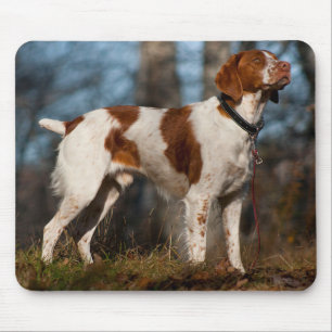 Love Brittany Spaniel Puppy Dog Mousepad